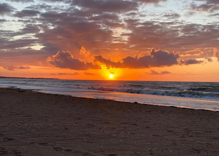 דירה La Perle Marine Situee A 100m De La וויסטרהאם